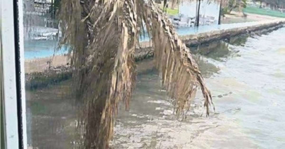 Aliağa’daki deniz kirliliği tepki çekti