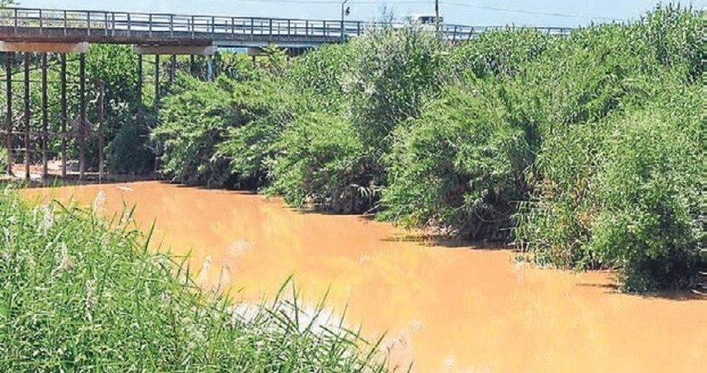 Bakanlık Gediz’i kirletenlere acımadı
