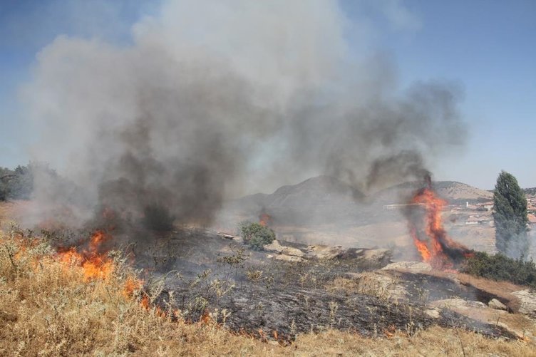 Manisa’da otluk alan yandı! 30 dönümü etkiledi