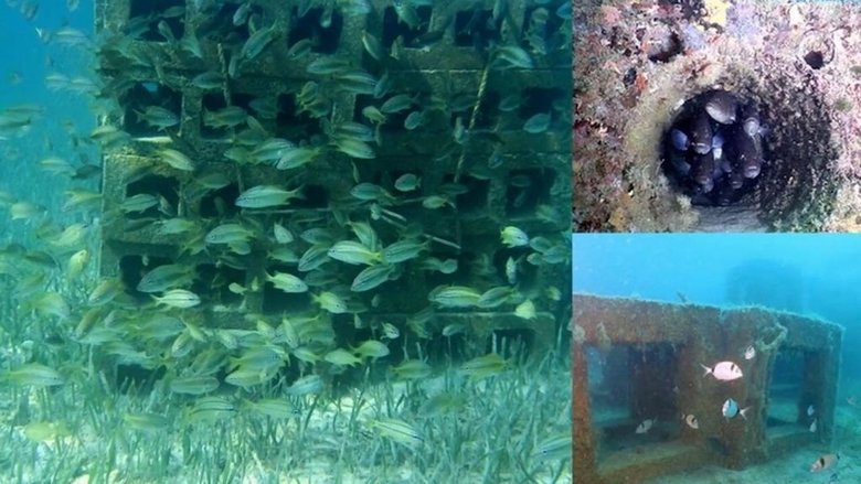 Bakanlık çalışma başlattı! Fethiye-Göcek koyları 6 etaplık proje ile korunacak