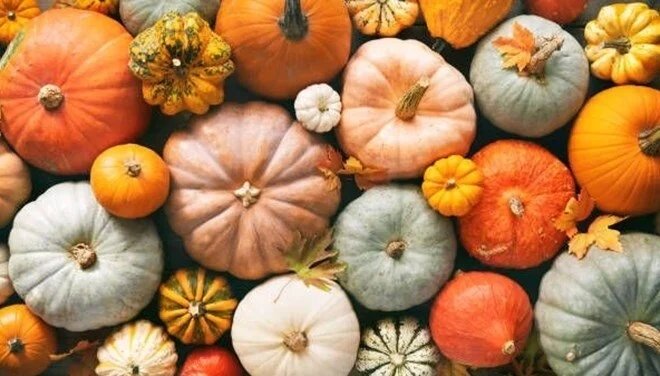 Balkabağının faydaları nelerdir? Neye iyi gelir?