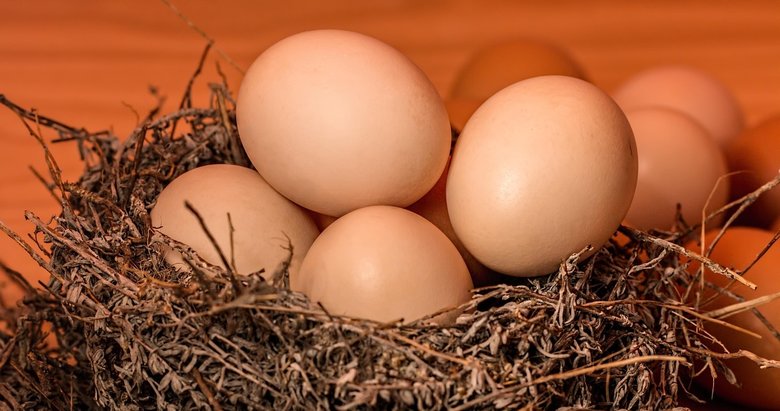 İhracatta altın yumurta dönemi