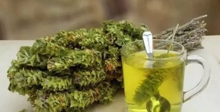 Bir yudumu bile şifa! Mucize dağ çayının faydaları...