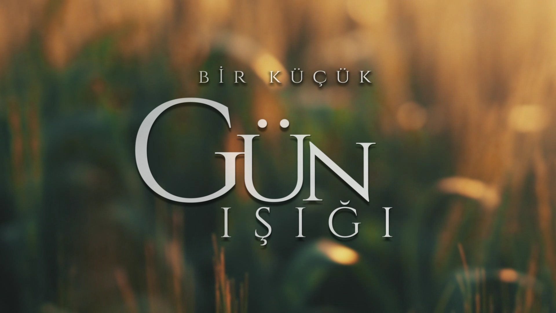bir-k-k-g-n-i-dizisi-i-in-zel-ark