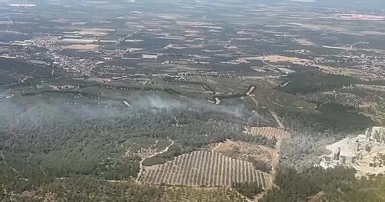 Manisa’da orman yangını!