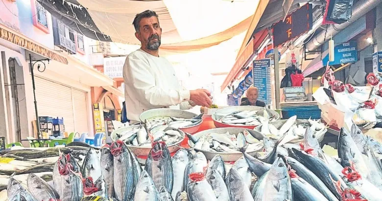 İzmir’de denizlerdeki bereket tezgahlara da yansıdı