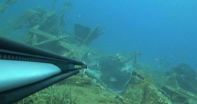Çanakkale’de rekortmen dalgıcın karşısına çıktı: Dev vatozu böyle görüntüledi