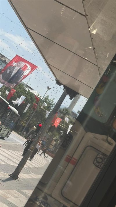 Denizli’de arı istilası! Şehir merkezindeki dükkanlar kapatıldı