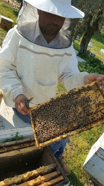 Kadın girişimci arı sütü siparişlerine yetişemiyor