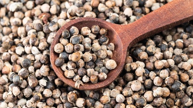 Hayıt otu nedir? Hayıt otunun faydaları nelerdir? Hayıt otu ne işe yarar?