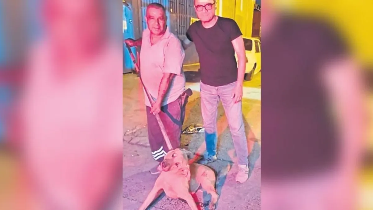 Belediye personelinden yaralı köpeğe işkence!