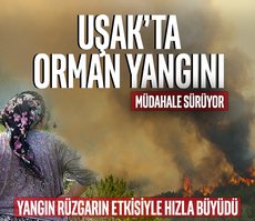 Uşak’ta orman yangını!