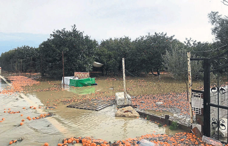 ‘Seferihisar battı başkan neredesin?’