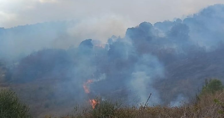 Çanakkale’de orman yangını! 2 hektar alan zarar gördü