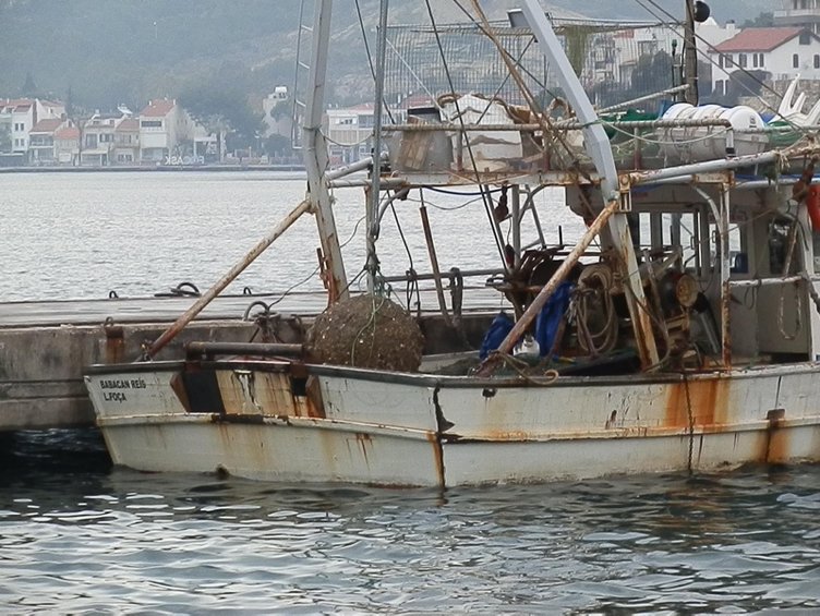 İzmir’de inanılmaz olay! Bakın balıkçının ağına ne takıldı?