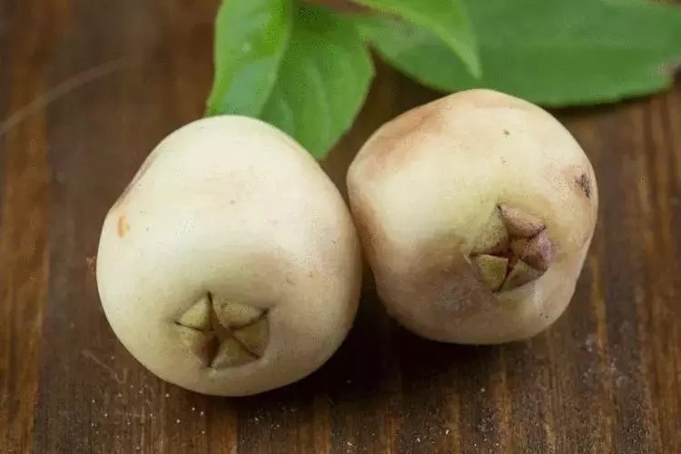 Hambales Murt neye iyi gelir? Faydaları nelerdir?