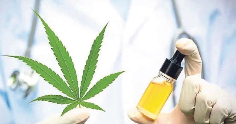 Kenevir mamülleri sadece eczanelerde satılacak