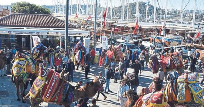 Bodrum’daki develere turistlerden yoğun ilgi