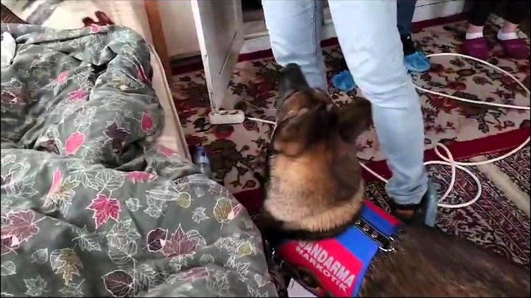 Fuhuş yalanıyla 14 ilde 18 kişiyi 1,5 milyon dolandırdılar! Denizli jandarması adım adım takip ederek çökertti