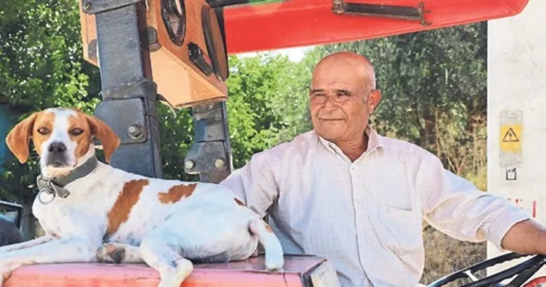 En sadık mesai arkadaşı