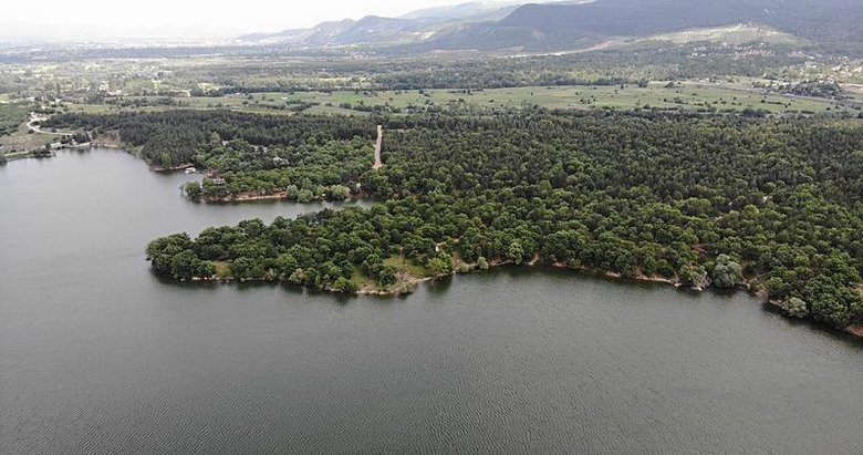 Ege’nin o ilinde cennetten bir köşe! Yılda 300 bin kişi ziyaret ediyor