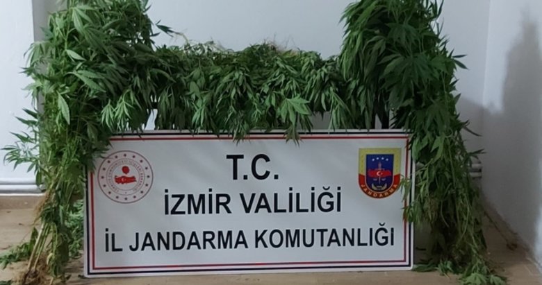 İzmir’in 9 ilçesinde uyuşturucu operasyonu: 12 gözaltı
