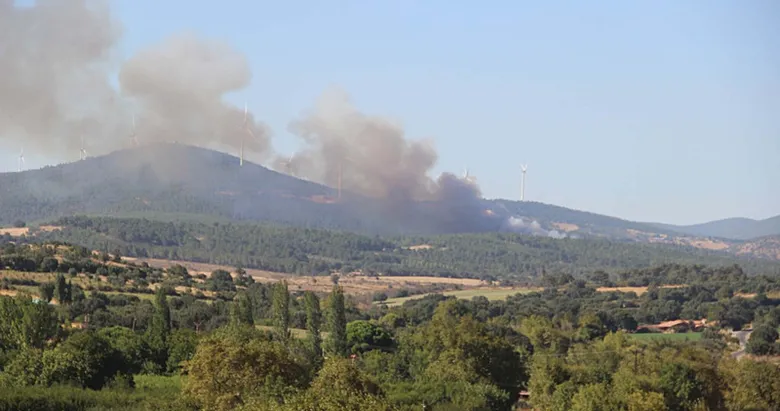 Çanakkale’de korkutan orman yangını: Bayramiç’te alevler rüzgarın etkisiyle yayıldı