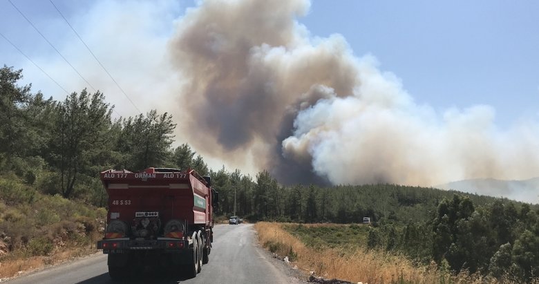 Son dakika: Bodrum'da orman yangını! - Muğla Haberleri