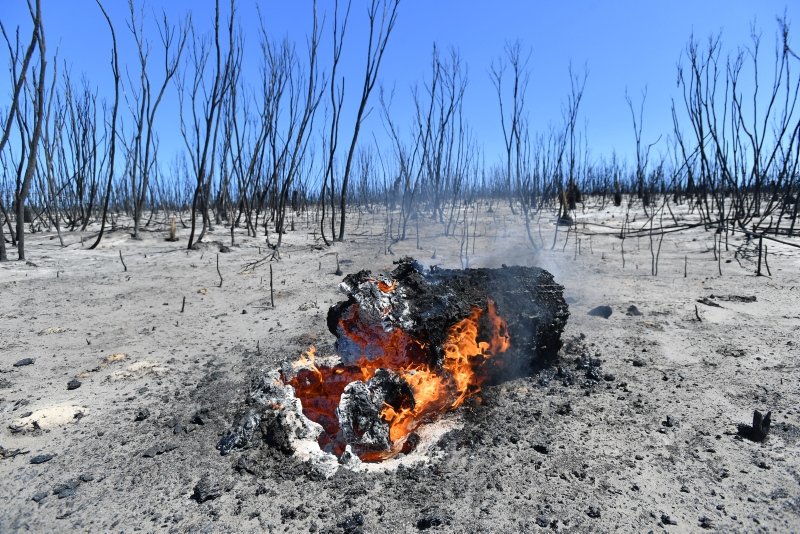 Avustralya’daki yangınların kül ettiği alan 10 milyon hektara yaklaştı, 480 milyon hayvan öldü