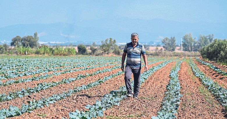 Kışlık sebze üretim üssü İzmir oldu