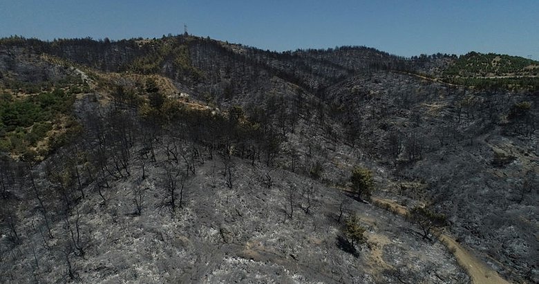 İzmir’deki orman yangınının nedeni araştırılıyor