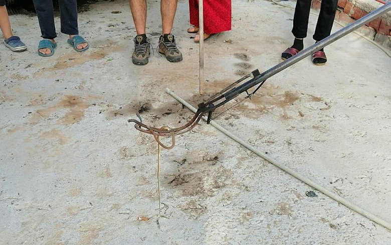 Muğla’da evin yatak odasında zehirli yılan yakalandı