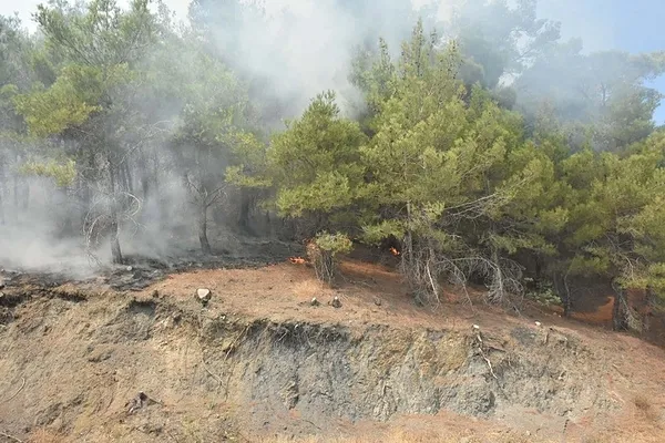 aydin-ve-balikesirde-orman-yangini-suruyor-ekiplerden-canla-basla-mudahale-1785480701637.jpeg
