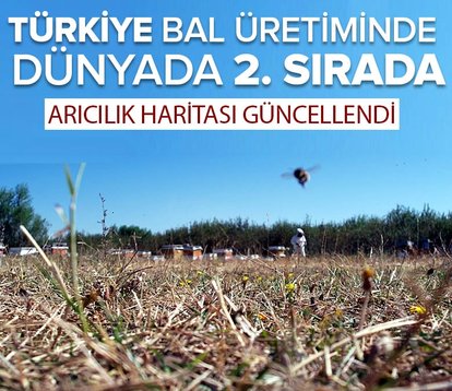 Türkiye bal üretiminde dünyada 2. sırada