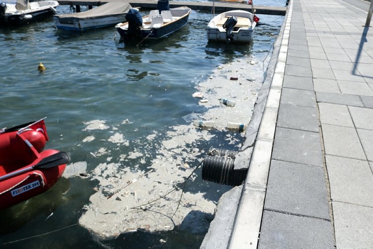 Müsilaj tekrar mı geliyor? Foça’daki deniz kirliliği endişelendirdi!