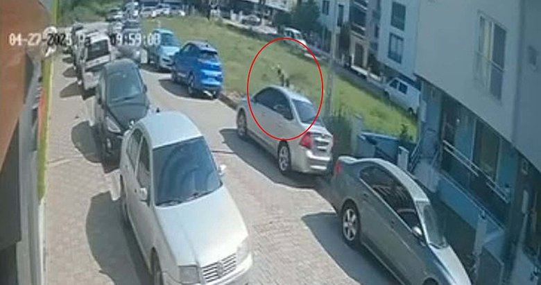 Aydın’da sokak köpeklerinden kaçan genç başını duran otomobile çarptı!