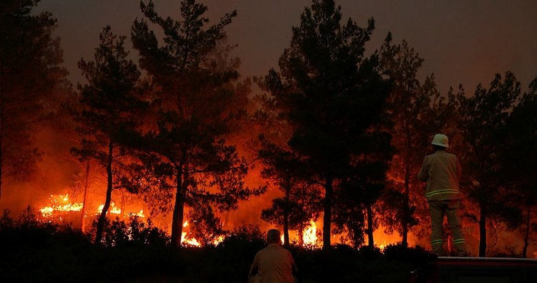 İzmir Bayraklı’da ormanlık alanın kundaklandığı iddiası