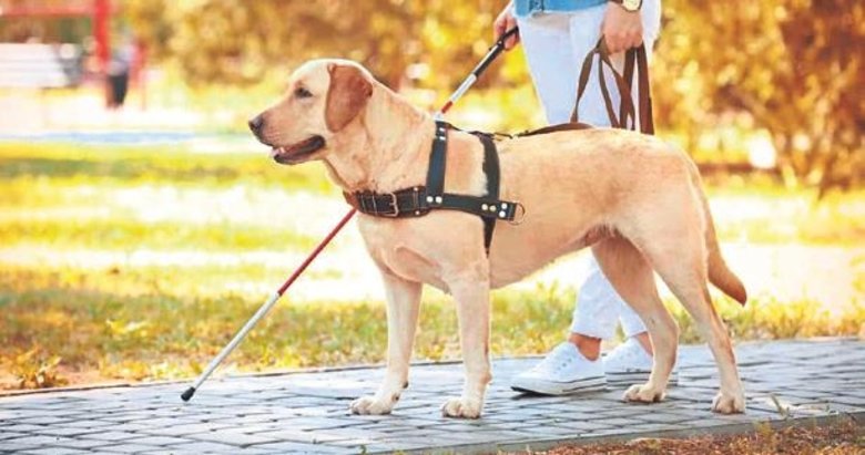 Belediyeye 150 bin TL ayrımcılık cezası