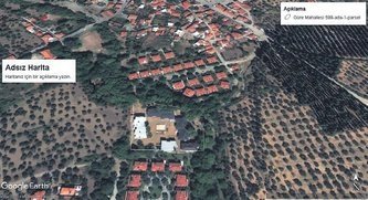 Yüzlerce ağacı görmezden geldi! Ekrem İmamoğlu ve ailesinden havuzlu villalar için ağaç katliamı