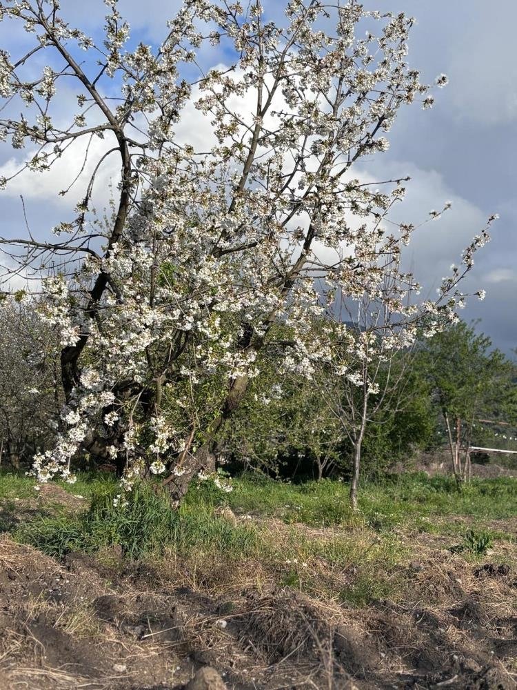 Balkanlardan gelen soğuk hava dalgası tüm Ege’yi etkileyecek