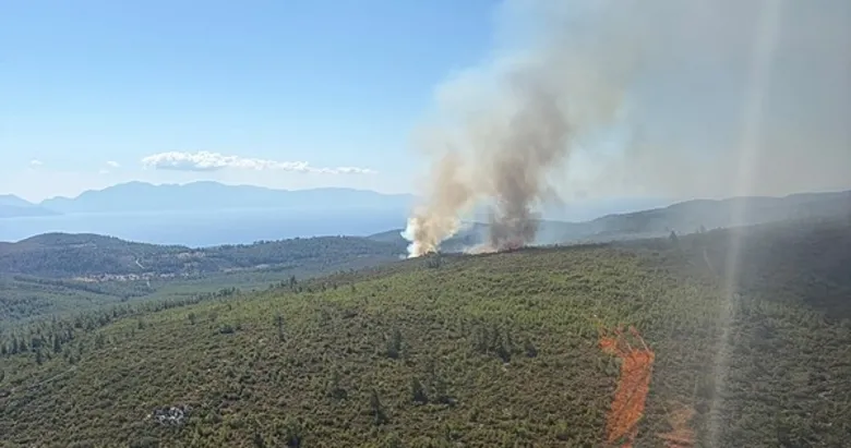 Muğla Bodrum’da orman yangını
