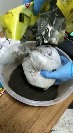 Uyuşturucunun saklandığı yer polisi bile şaşkına çevirdi