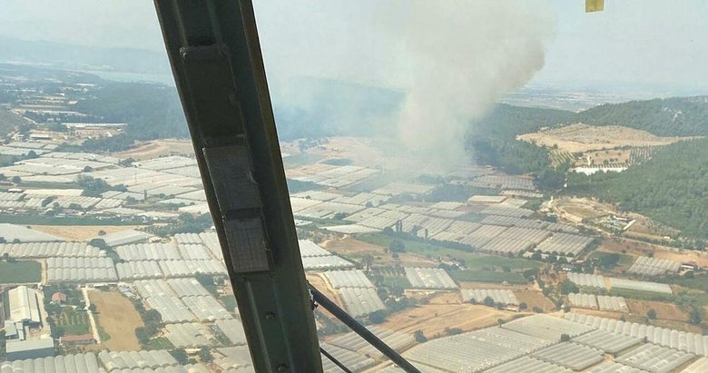 son dakika izmirde sera yangini ormana sicradi yangin kontrol altinda