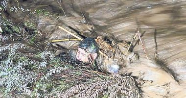 Aydın’da hayata bakış!