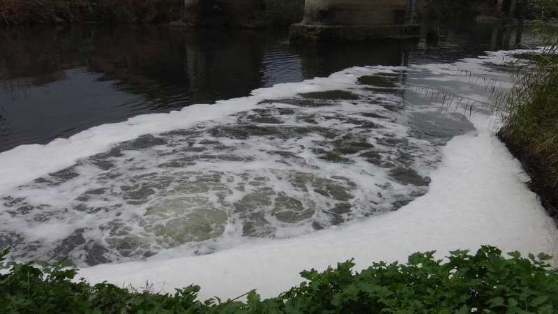 Büyük Menderes Nehri’nde kirlilik 4’ncü dereceye ulaştı
