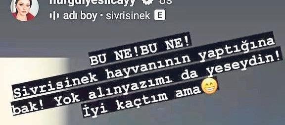 Ünlü oyuncunun sivrisinek isyanı