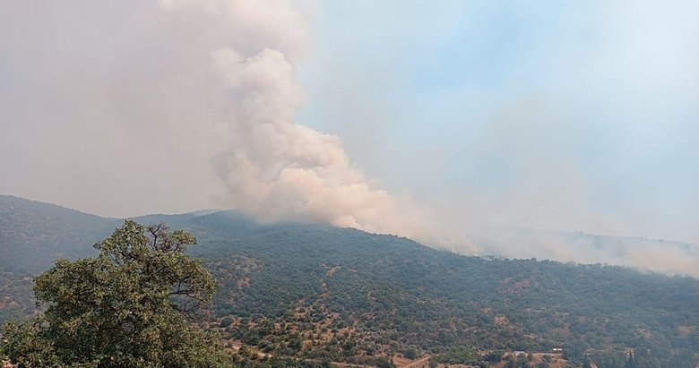 Manisa’da ormanlık alana sıçraya yangın kontrol altına alındı