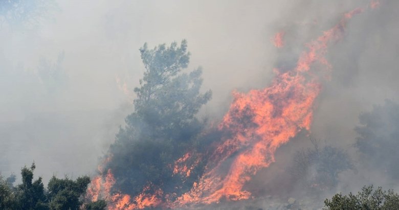 Aydın’da Priene Antik Kenti’nde yangın