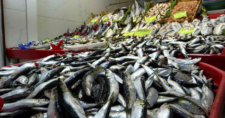 Çanakkale’de balık tezgahlarında bolluk yaşanıyor