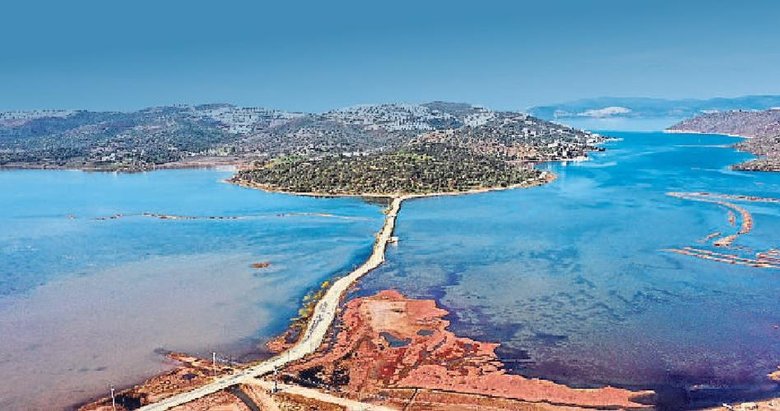 Tuzla Sulak Alanı’nda kuş türleri azalıyor